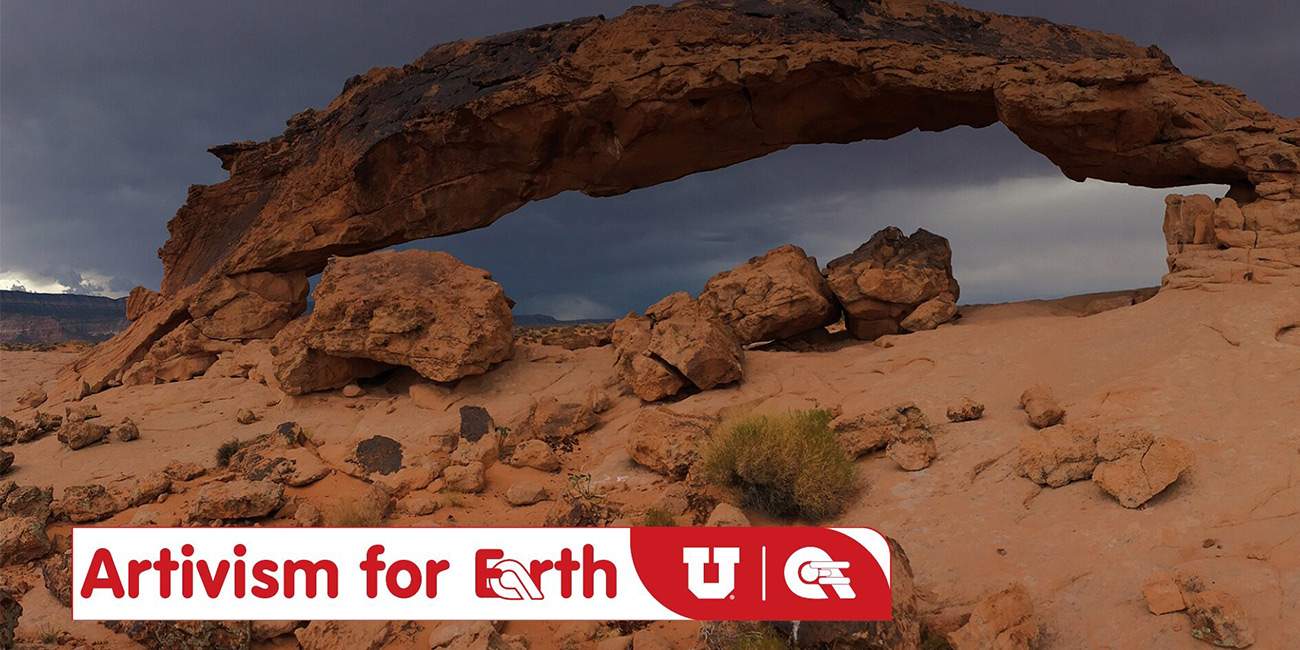 Artivism4Earth Initiative Banner photo of a desert with the Artivism4Earth logo on top.